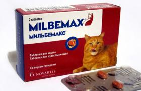 Yavru kediler için solucan giderme tabletleri